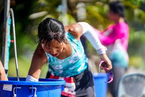 BIB: 
                            <button type="button" onclick="openModal(26544896)" class="btn btn-primary btn-sm float-right btn-popup" data-toggle="modal" data-target=".modal-high-quality">
                        <i class="fas fa-shopping-cart"></i> Add to Cart
                    </button>
                                            <button type="button" onclick="isThisMe(26544896, true)" class="btn btn-success btn-sm float-right btn-popup btn-isme hidden" data-toggle="tooltip" data-placement="bottom" title="นี่คือรูปของคุณใช่ไหม คลิกที่นี่เพื่อเอาเข้าอัลบั้ม">
                        <i class="fas fa-plus"></i> Add to album
                    </button>
                    <button type="button" onclick="isThisMe(26544896, false)" class="btn btn-warning btn-sm float-right btn-popup btn-isnotme hidden">
                        <i class="fas fa-ban"></i> Remove from album
                    </button>